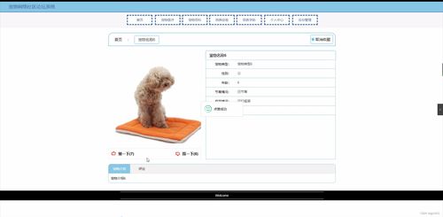 SpringBoot宠物网络社区论坛系统设计与实现——计算机软硬件研究